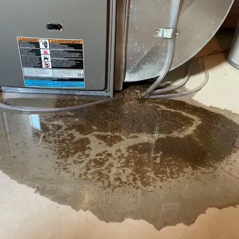 Appliance Leak Cleanup in Albers, IL